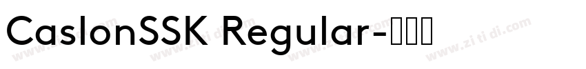 CaslonSSK Regular字体转换
